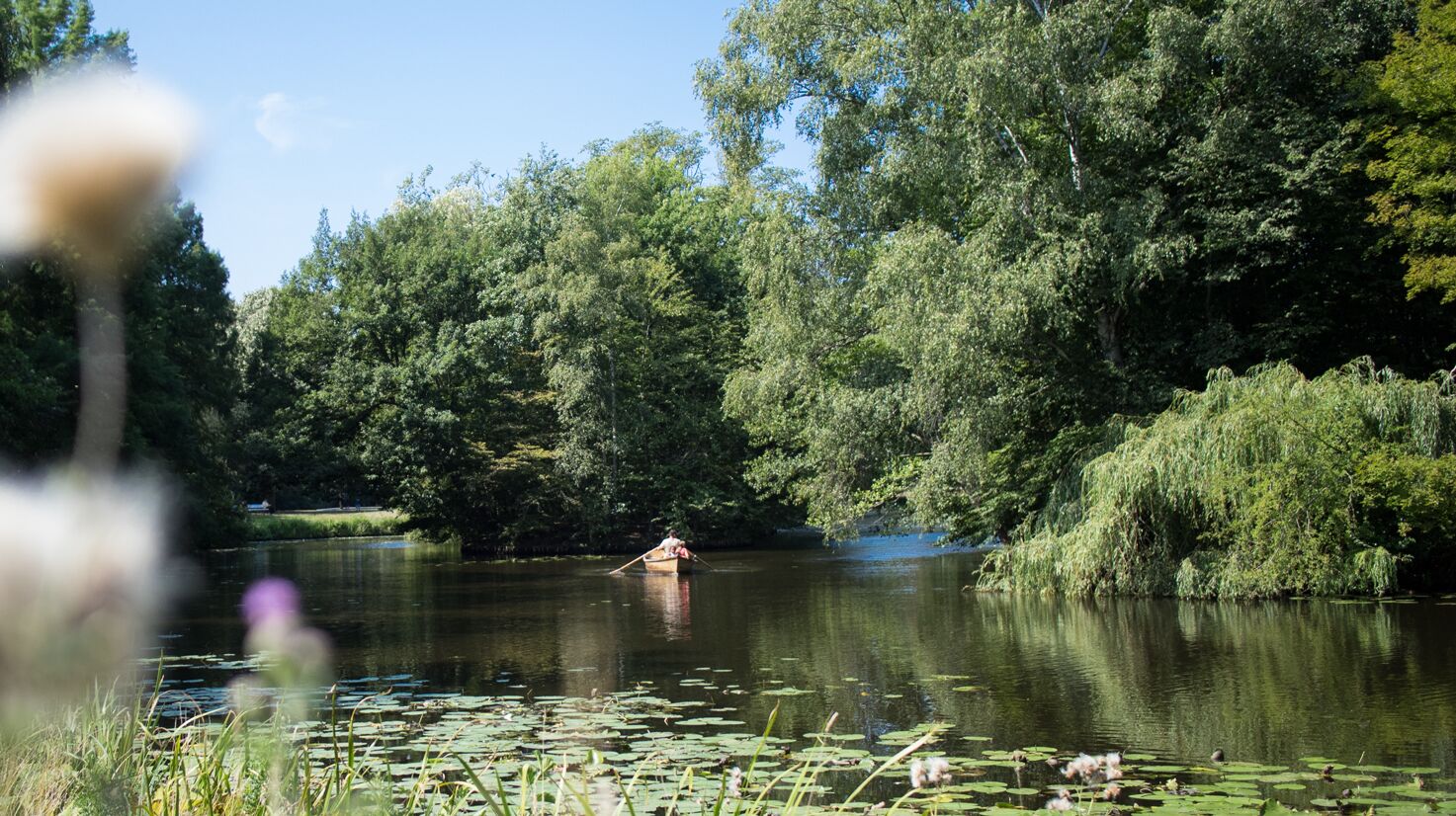 Familienfreundliche Ausflüge in den Bremer Bürgerpark. Ein riesiges, idyllisches Areal mit vielen Freizeitmöglichkeiten. Ob Paddeln, ein kleiner Zoo oder sportliche Aktivitäten – ein perfekter Familienausflug!